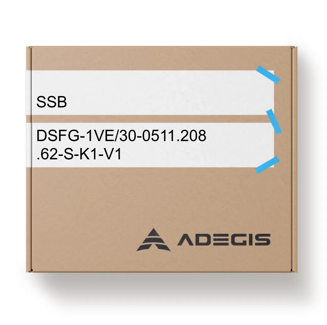 Order DSFG-1VE/30-0511.208.62-S-K1-V1 SSB | ADEGIS